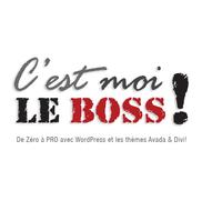 C'est moi le boss - formation en ligne Seo WordPress