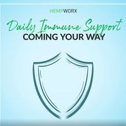 Dusti's Essential Choices & More