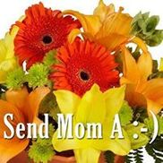Amedeo's Florist, Inc.