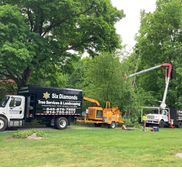 Six Diamonds Tree Services