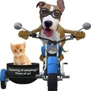 Friends of the Providence Animal Care & Control Center