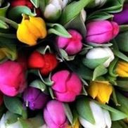 Godley's Country Floral