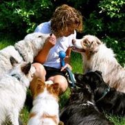 Woof2hoof canine training