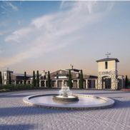 Arch Ray Resort 
