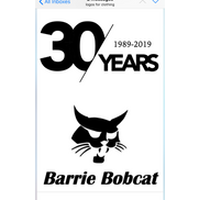 Barrie Bobcat Limited