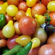 Susan Plunkett's Fabulous Foods