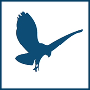 America's Office Source, Inc.