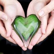 Bay Area Osteopathic, Inc