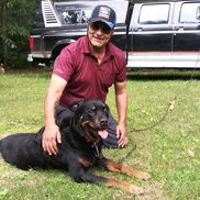 Perfectionmasonry.renos.com