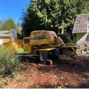 Sparkuhl Stump Grinding LLC, Olympia WA
