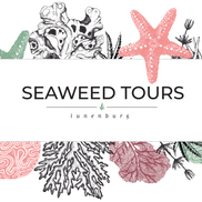 Seaweed Tours Lunenburg N.S.