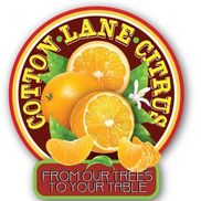 Cotton Lane Citrus u-pick/bagged fruit/raw honey