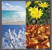 My Seasons Realty LLC, Mahopac NY