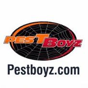 Pestboyz