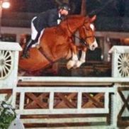 Four Winds Farm