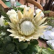 Central Park Flowers