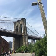 Berk-rauch marketing