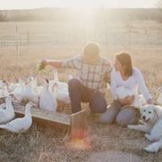 Belle vie farm and kitchen