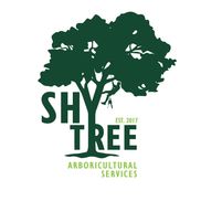 Shy Tree