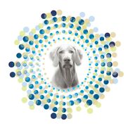 Gray Dog Creative
