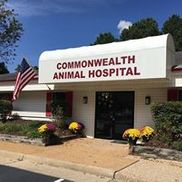 Commonwealth Animal Hospital