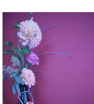Lilybug Floral Design