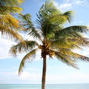 Sarah Lee Welch Weddings LLC