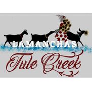 Tule Creek Farms