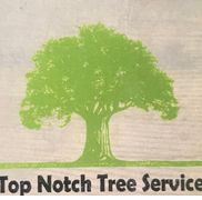 Top Notch Tree Service - Du Bois, PA - Alignable