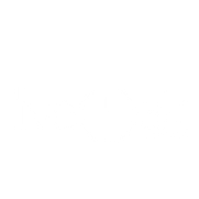 Live Oak IT Partners
