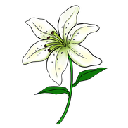 Yahawah Herbs