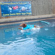 Rummy's Beach Club