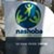 Nashoba Learning Group