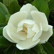 Progressive Learning Center