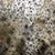 Moldabater, Miamisburg OH