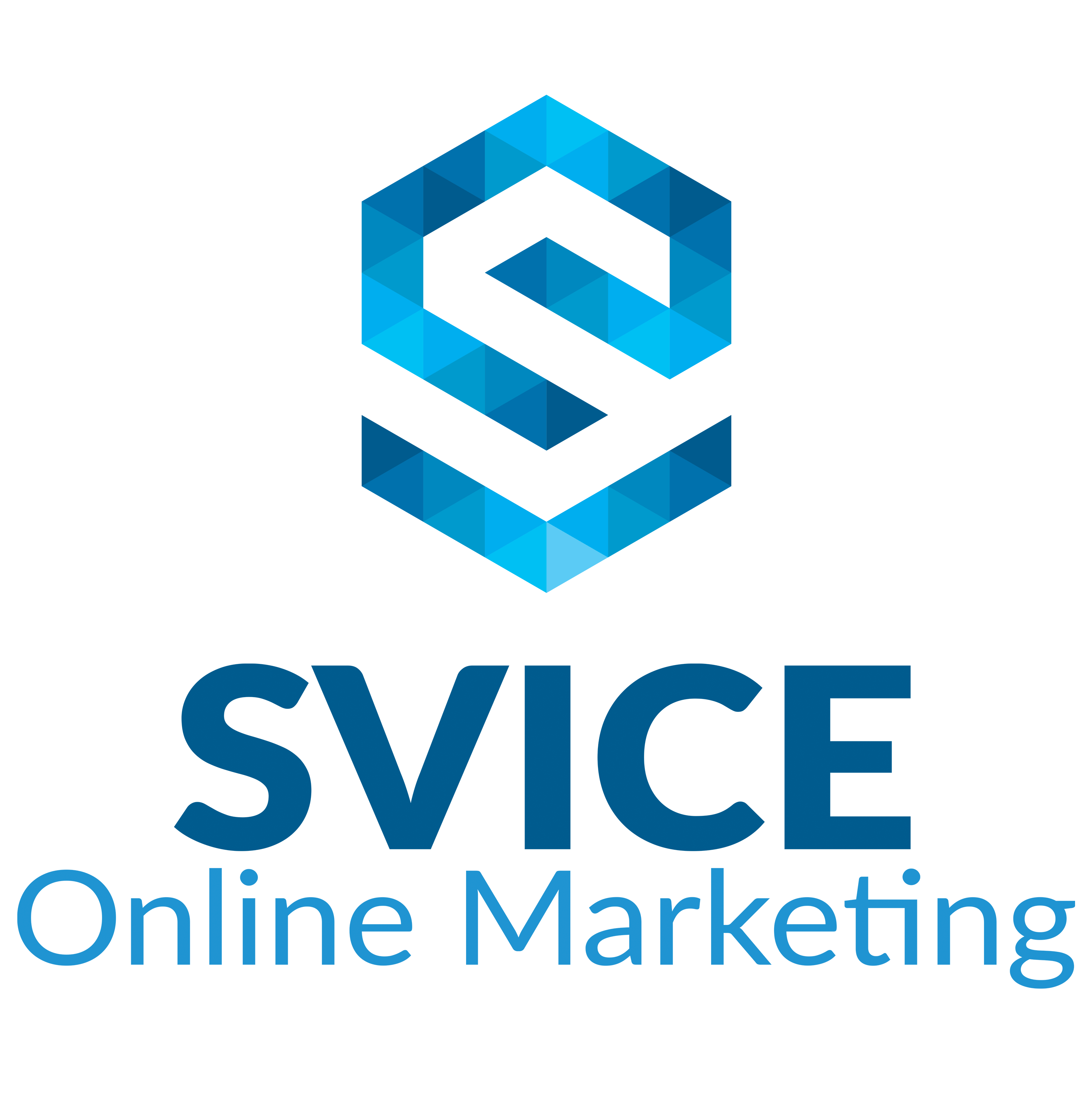 Svice Online Marketing, Vernon BC