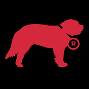 Robertson Marketing Group Inc