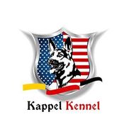 Texas Showline GSD