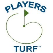 Artificial Turf installation