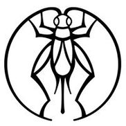 Cricket Forge