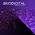 Briodigital, Purchase NY