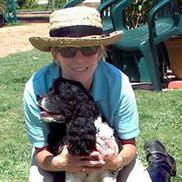 Furry Friends Dog Walking and Pet Sitting