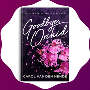 Carol VanDenHende, Author Marketer Speaker