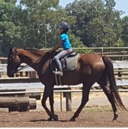 Pine Trails Ranch