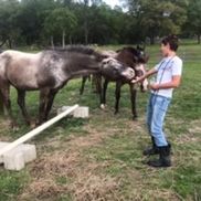Sacred Earth Connections, Equine Assisted Psychotherpy