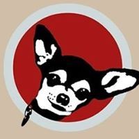 Little Sadie's & Pet Concierge Tampa Bay, Seminole FL