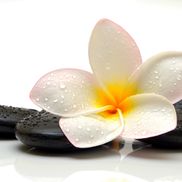 Body Secrets Day Spa & Hair Salon - South Windsor, CT - Alignable