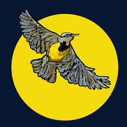 Meadowlark Film Productions