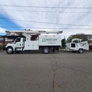 Green Leaf Tree Services