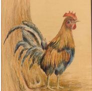 Chicken Coop Collectibles